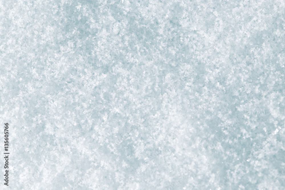 snow as a backdrop. macro