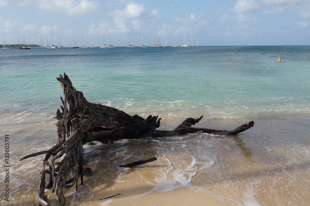 Martinique plage Ste Anne Martinique plage Ste Anne