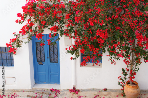 Bougainvillea flowered on the facade of a house typical of Nijar, Almeria, Spain photo