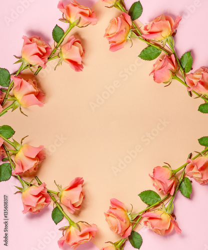 frame of pink roses