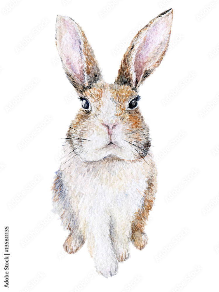 Fototapeta premium Watercolor bunny isolated on white. Easter rabbit