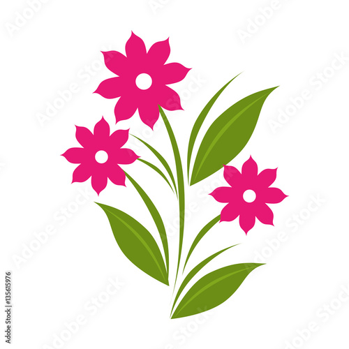 floral cute frame decorative vector illustration design © Gstudio