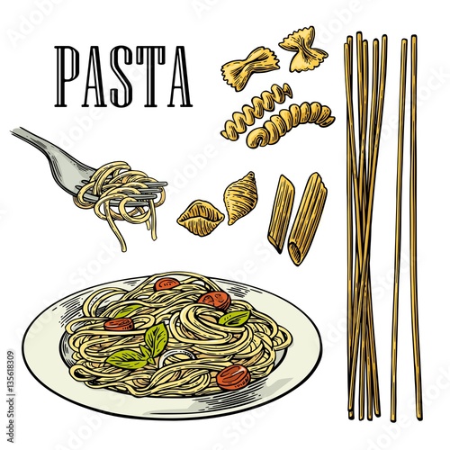 Set pasta - farfalle, conchiglie, penne, fusilli, spaghetti