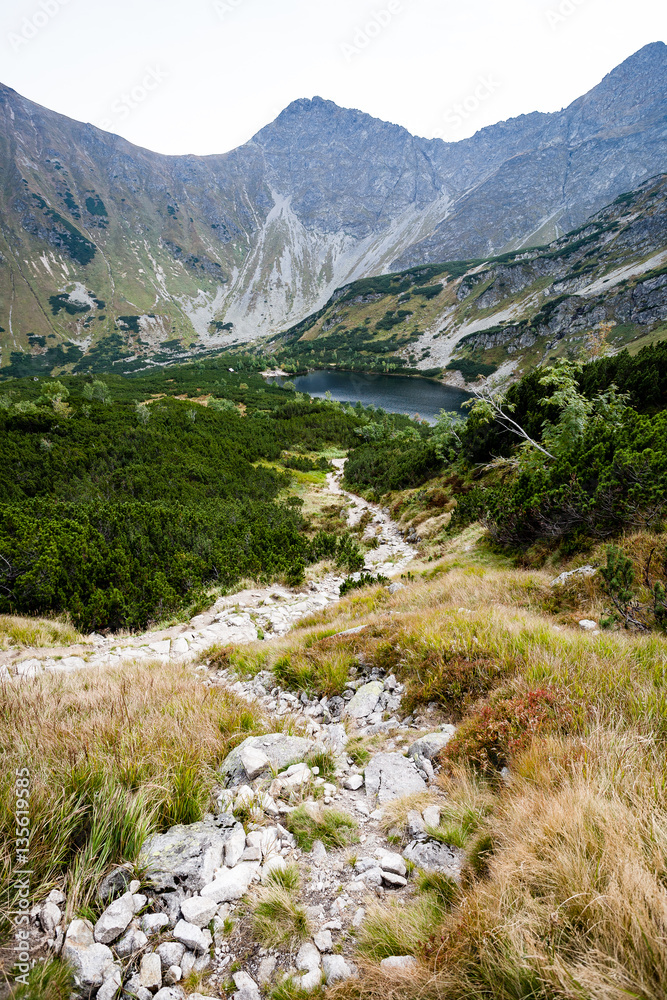 slovakian carpathian mountains in autumn slovakian carpathian mountains in autumn