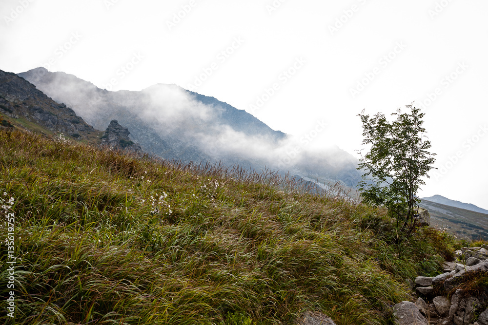 slovakian carpathian mountains in autumn