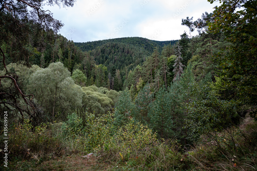 slovakian carpathian mountains in autumn