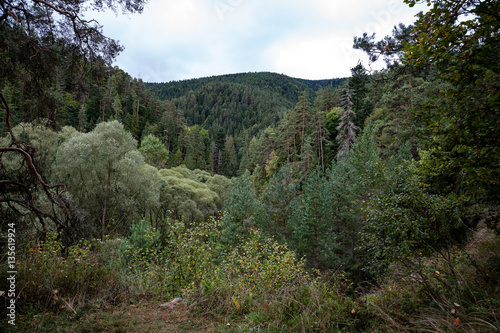 slovakian carpathian mountains in autumn
