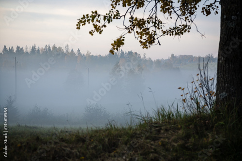 misty countryside landscape with asphalt wavy road in latvia