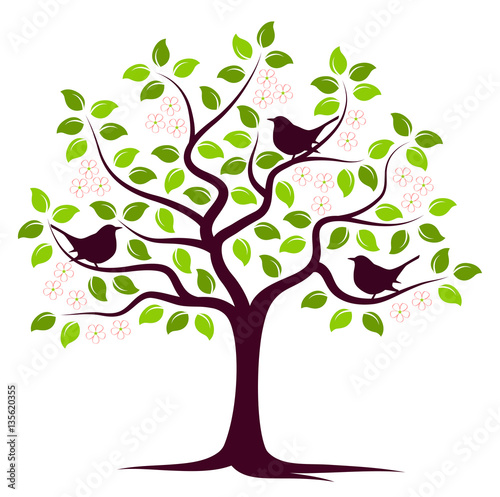 flowering tree and birds