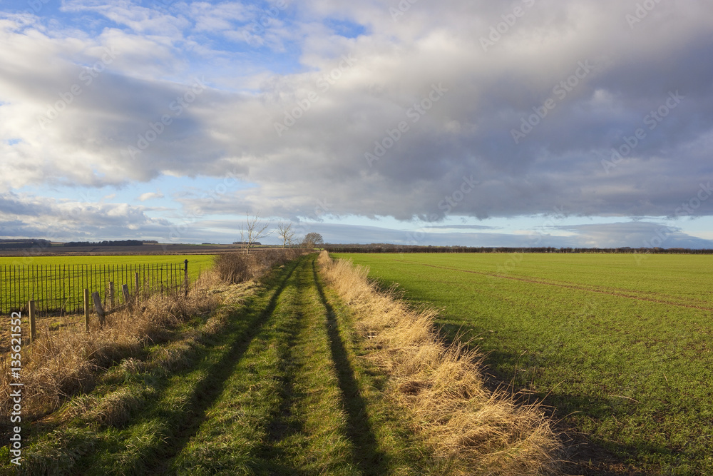 yorkshire wolds bridleway