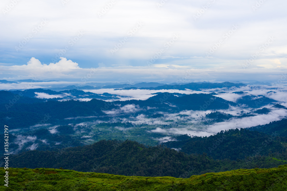 Obraz premium View point of