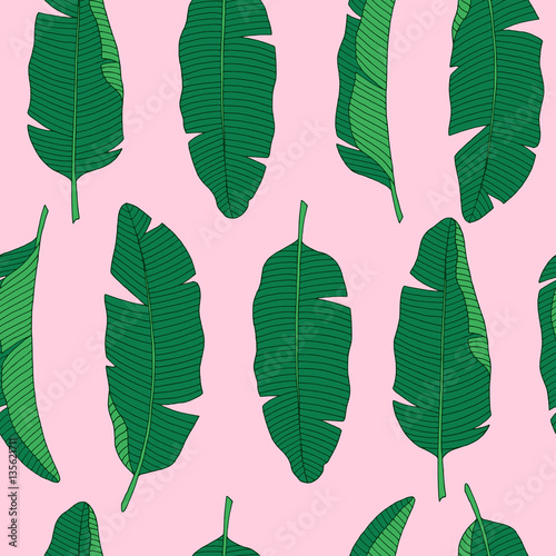 Banana leaves pattern.Vector illustration