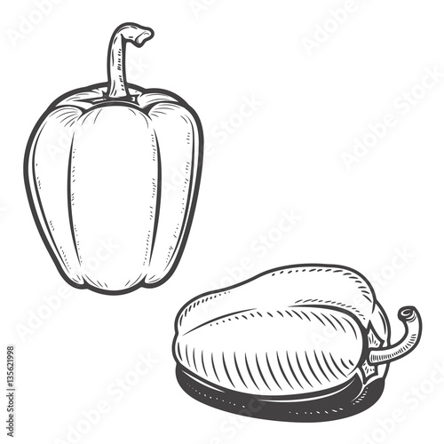 Set of bell pepper icons isolated on background. Design elements