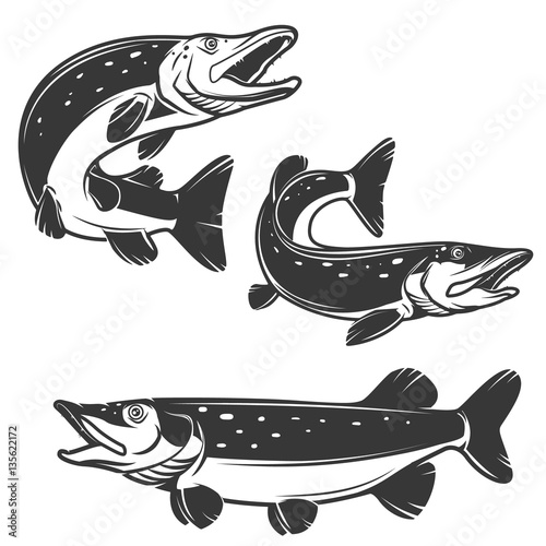 Set of pike icons isolated on white background. Design elements