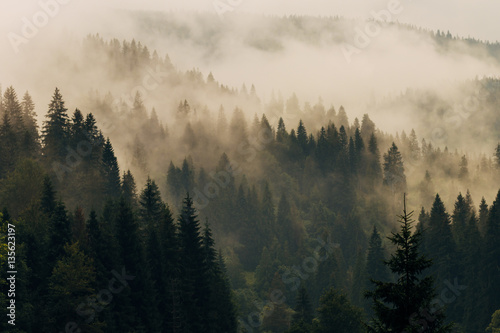 Morning fog on the mountain slopes. Carpathian Mountains. Ukraine, Europe. © Romvy