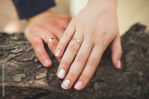 Closeup of hands newlyweds. Hands of the newlyweds with wedding rings