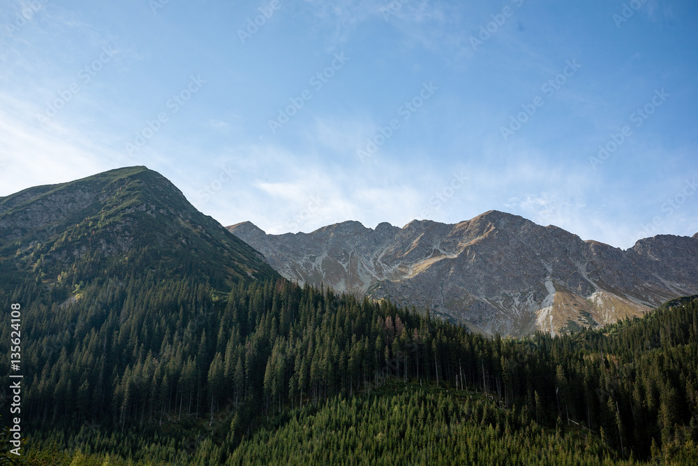 Fototapeta premium slovakian carpathian mountains in autumn