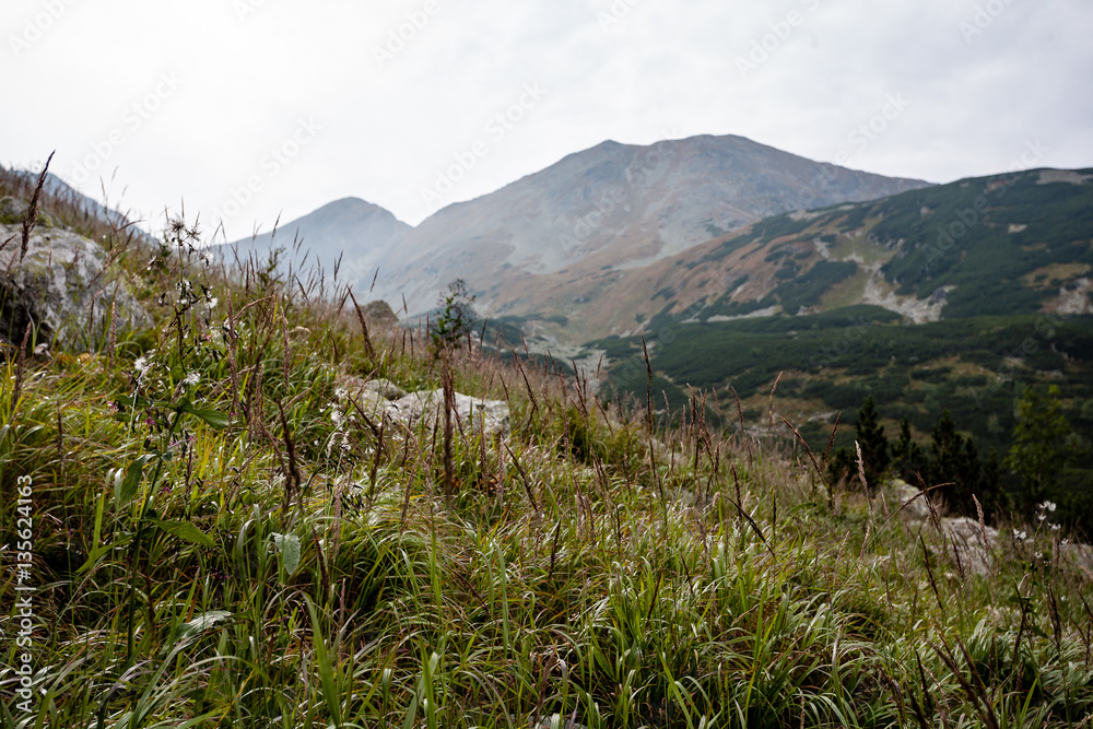 Fototapeta premium slovakian carpathian mountains in autumn