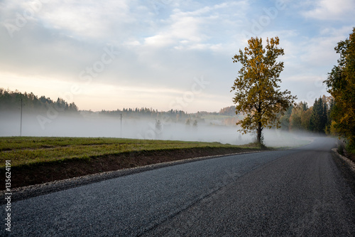 misty countryside landscape with asphalt wavy road in latvia © Martins Vanags