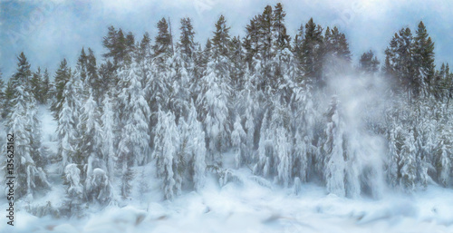 Yellowstone Winter scene