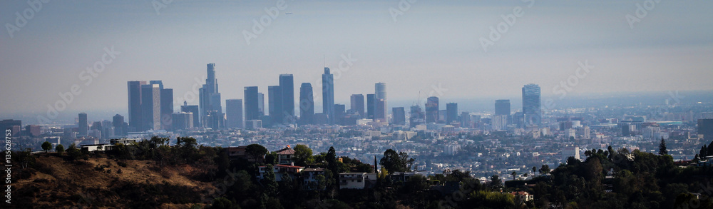 Fototapeta premium LA landscape