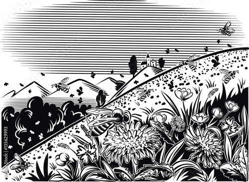 Lawn mountain flower, worker bees fly on flowers.