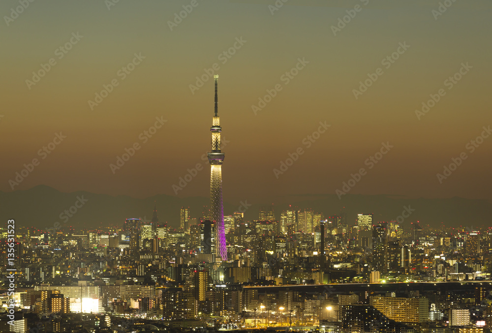 Obraz premium 東京都市風景 東京スカイツリー 都心の街並 夜景 新宿 六本木 丸の内