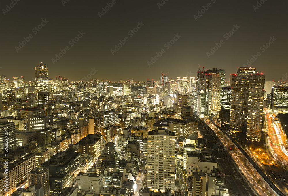 Fototapeta premium 東京都市風景 夜景 都心の街並 汐留 浜松町 新橋 築地 虎ノ門 日比谷 有楽町