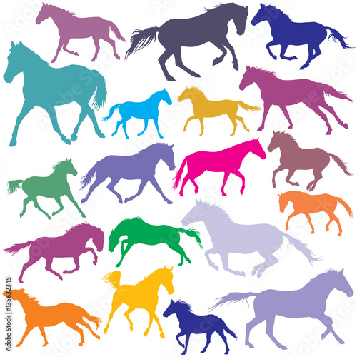 Fototapeta Naklejka Na Ścianę i Meble -  Big Set vector colorful trotting and galloping horses silhouette