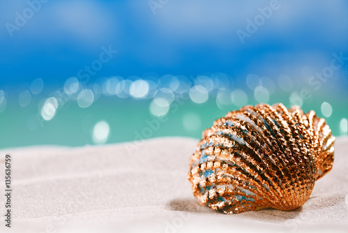 golden tropical shell on white beach sand under sun light
