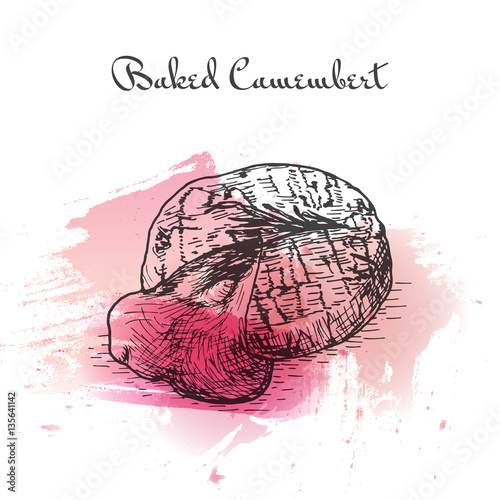 Baked Camembert watercolor effect illustration.