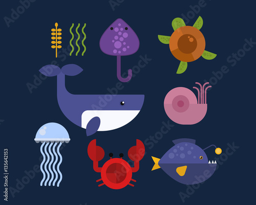 Sea animals marine life character vector illustration.