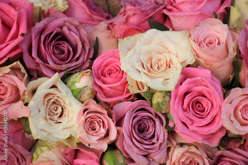 Mixed pink roses