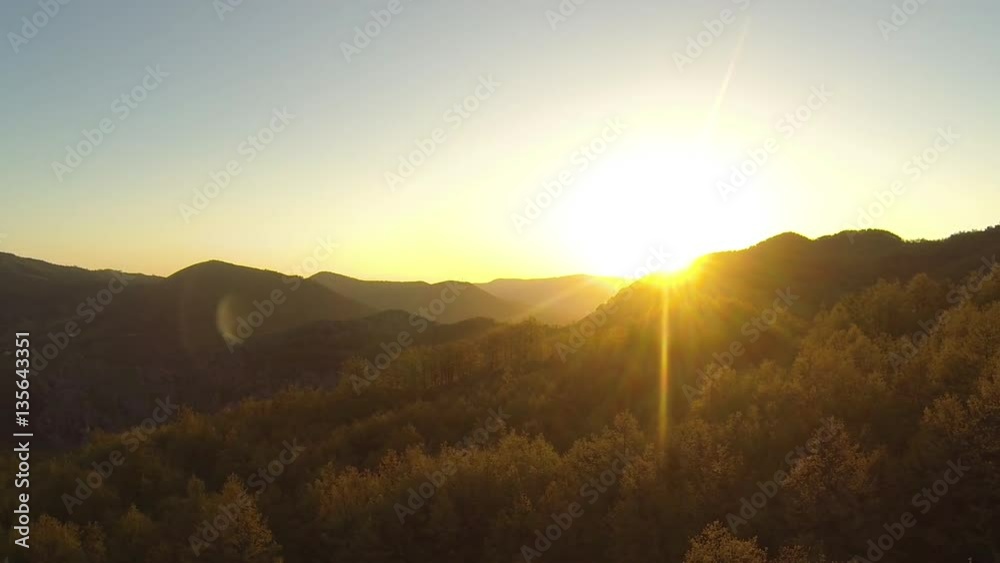 Flight on trees in a dense forest
Drone towards the light fantastic Flight on trees in a dense forest
Drone towards the light fantastic