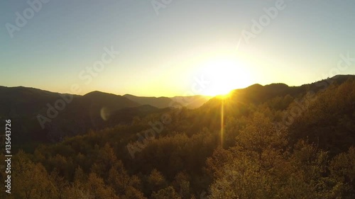 Flying over the forest at dawn
Drone towards the light fantastic