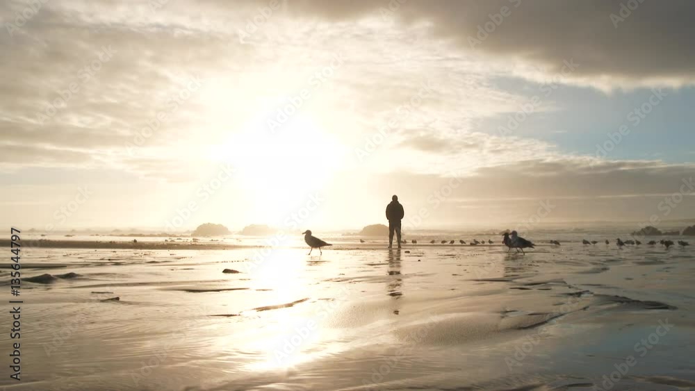 Silhouetted person standing on sandy beach at sunset, walks with seagulls to the left and out of frame. Silhouetted person standing on sandy beach at sunset, walks with seagulls to the left and out of frame.