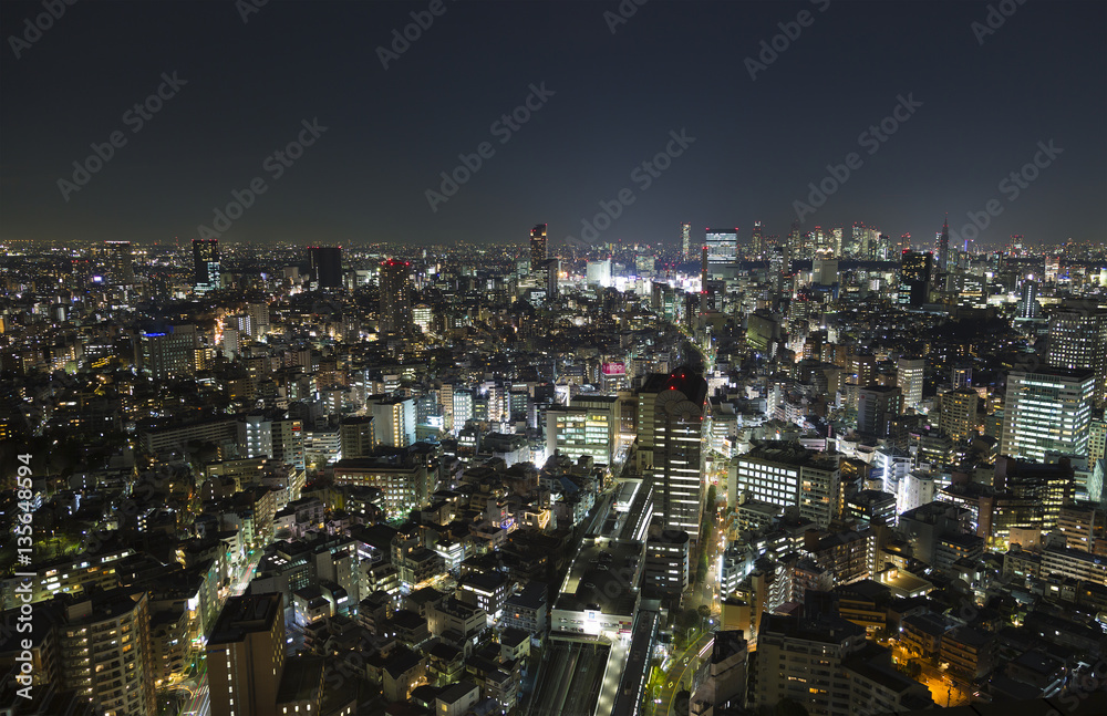 東京都市風景　夜景　渋谷　恵比寿　代々木　新宿　中野　青山　原宿方面　俯瞰