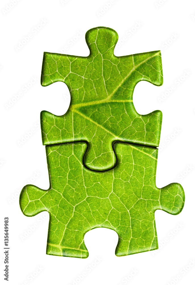 puzzle pieces on white background