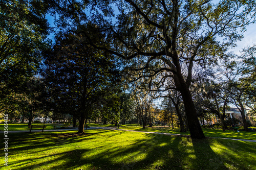 A Warm day at Forsyth Park in Savannah, Georgia Shaded by Magnol