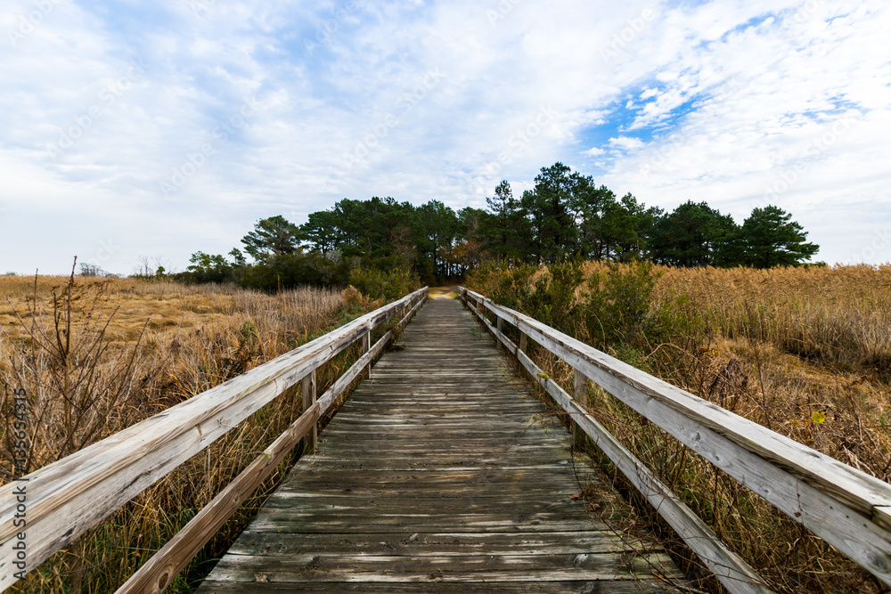 Assateague Island, Maryland during a Warm Fall Day Assateague Island, Maryland during a Warm Fall Day
