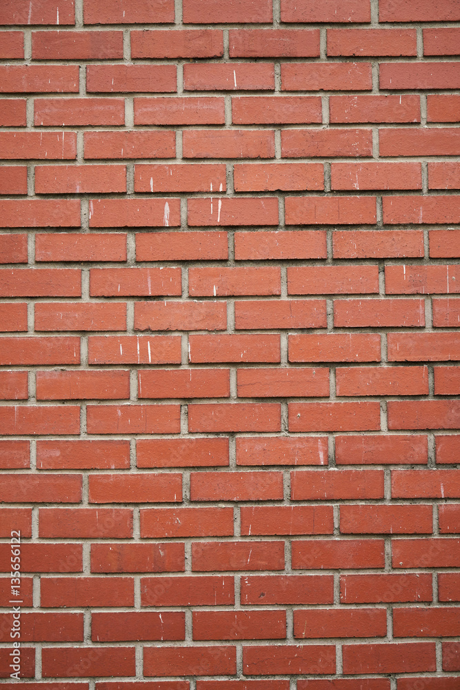 Obraz premium Brick Wall Texture