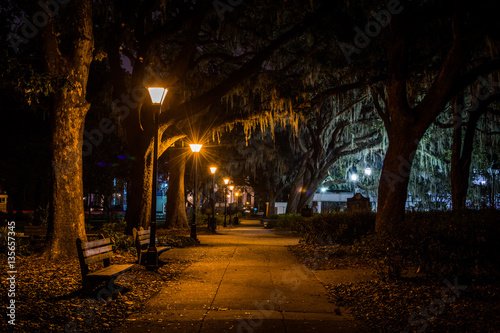 Forsyth Park in Savannah  Georgia at Night