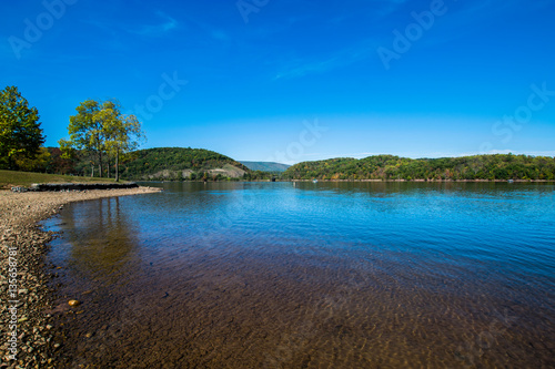 Lush Vegetation Around Raystown Lake, in Pennsylvania During Sum