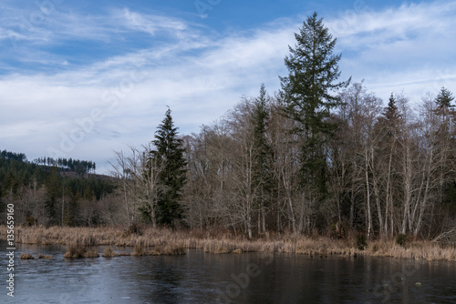 Beaver Pond In Winter