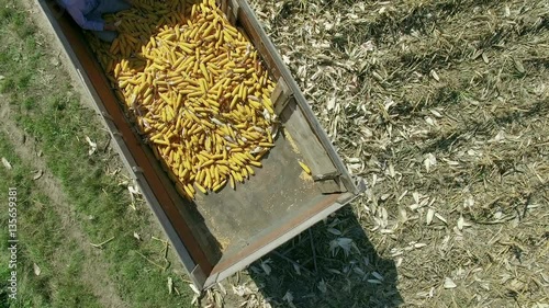 Aerial view, agrocultural tractor with corn photo