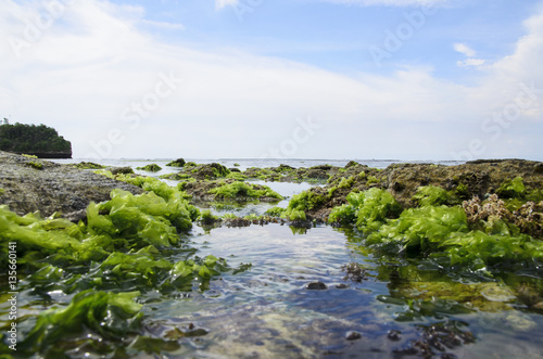 Moss On the Rock with strong water wave at Low Tide Beach in Bali.