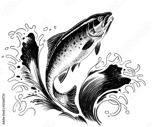 Photography Jumping tuna fish