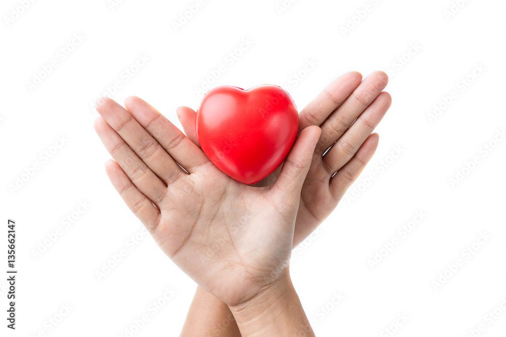 woman hands giving red heart