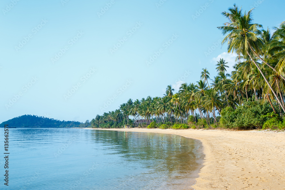 Tropical beach and coconut palms in Koh Samui, Thailand