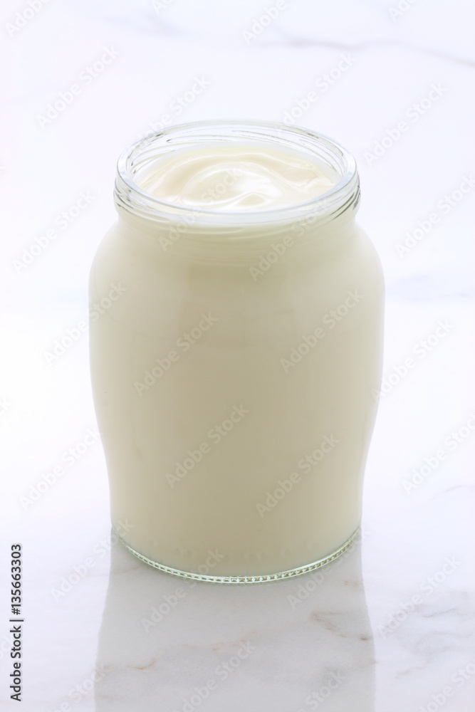 plain french style yogurt plain french style yogurt